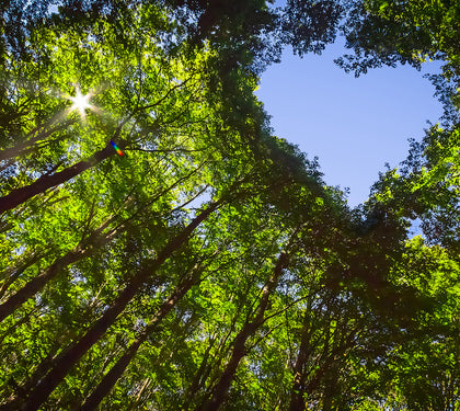 Happy Earth Day from us at RAINE Clothing!