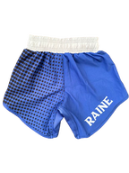 Mens Evo BJJ Shorts - Blue/Grey