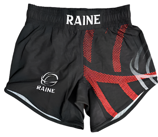 Mens Emense BJJ Shorts